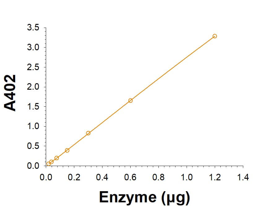 Recombinant Human NAGLU Protein, CF (Catalog # 7096-GH) is measured by its ability to hydrolyze 4-Nitrophenyl-N-acetyl-alpha -D-glucosaminide.