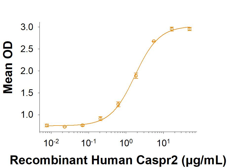Measured by its binding ability in a functional ELISA. Recombinant Human Caspr2 His-tag Protein (Catalog # 8207-CRB) binds to Recombinant Human Contactin-2/TAG1 Protein ( 1714-CN) with an ED50 of 0.400-4.00 µg/mL.
