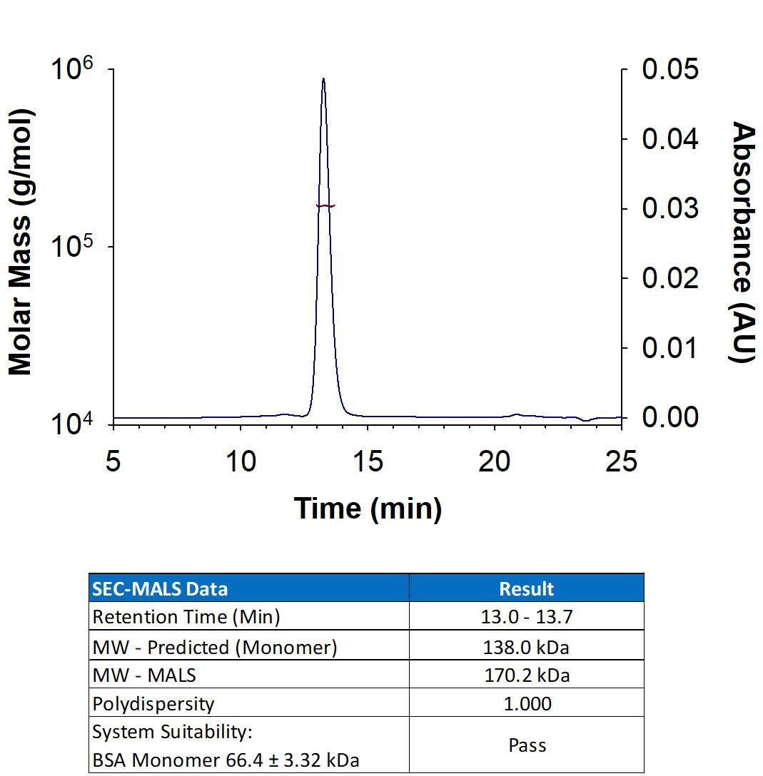 Recombinant Human Caspr2 His-tag (Catalog # 8207-CRB ) has a molecular weight (MW) of 170.2 kDa as analyzed by SEC-MALS, suggesting that this protein is a monomer. MW may differ from predicted MW due to post-translational modifications (PTMs) present (e.g. Glycosylation).