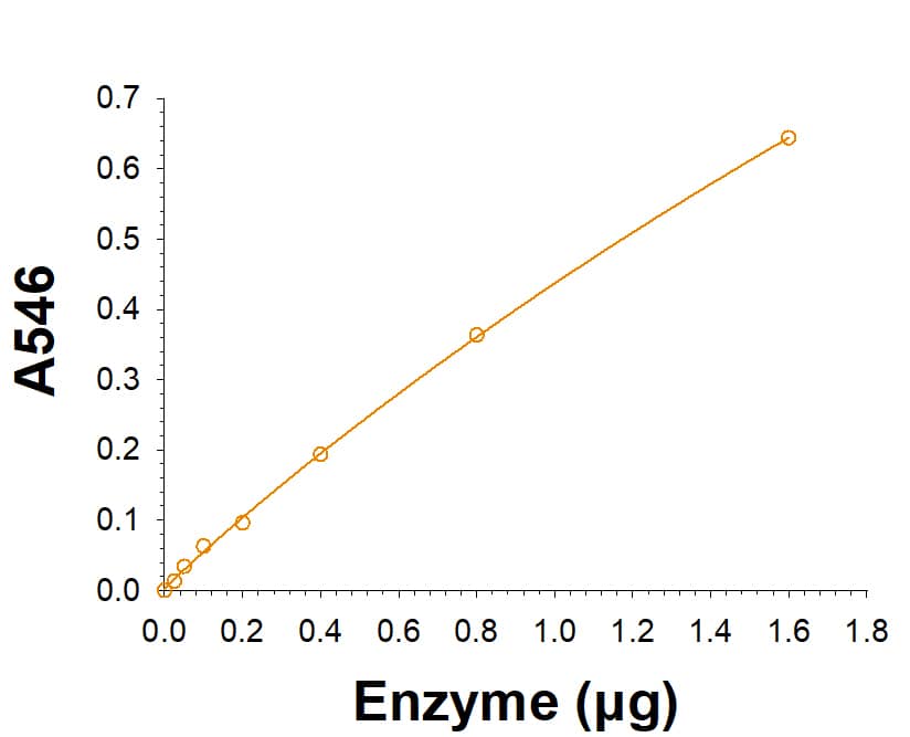 Recombinant Human Lysosomal alpha-Glucosidase/GAA Protein, CF (Catalog # 8329-GH) is measured by its ability to release glucose from starch.