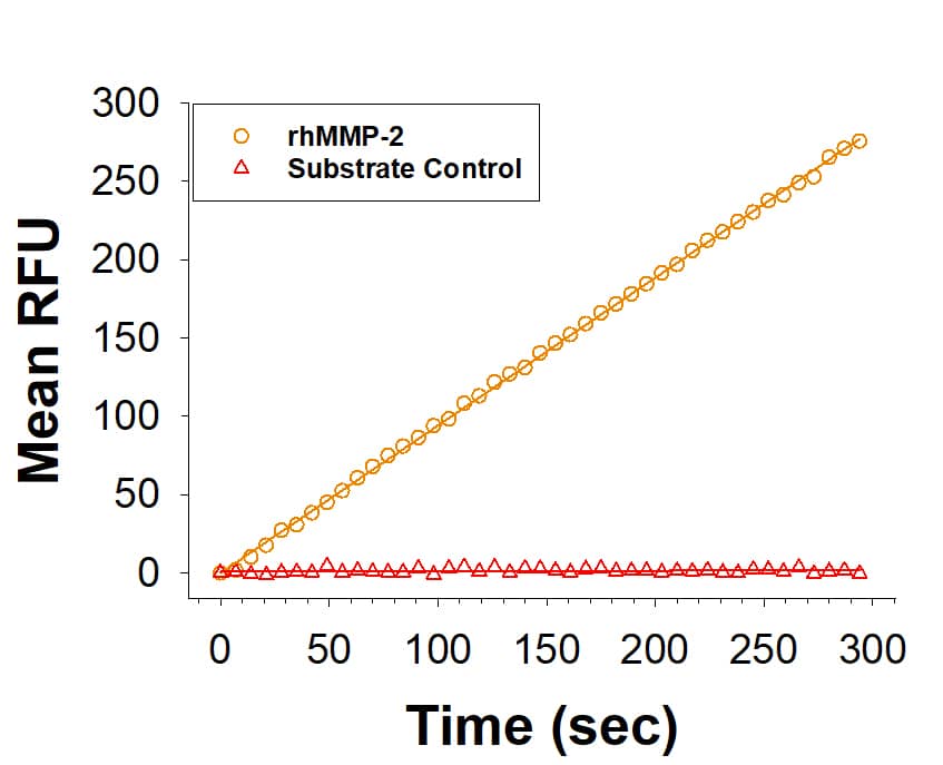 Recombinant Human MMP-2 Protein (Catalog # 902-MP) is measured by its ability to cleave the fluorogenic peptide substrate, Mca-PLGL-Dpa-AR-NH2 (ES001).