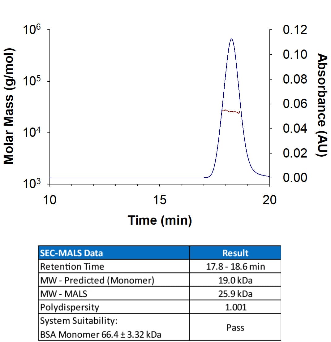 Recombinant Human VISTA/B7-H5/PD-1H (Catalog # 9057-B7) has a molecular weight (MW) of 25.9 kDa as analyzed by SEC-MALS, suggesting that this protein is a monomer.  MW may differ from predicted MW due to post-translational modifications (PTMs) present (i.e. Glycosylation).