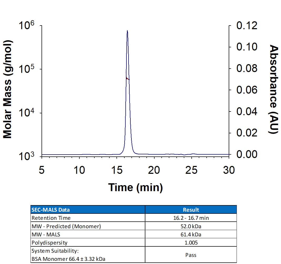 SEC-MALS TACE/ADAM17 [Unconjugated]
