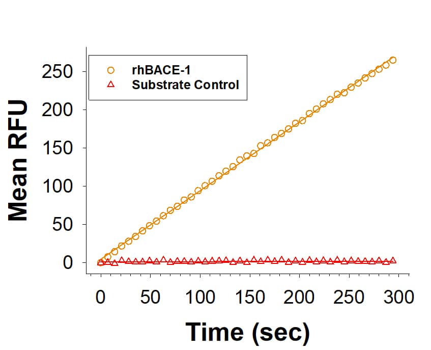 Recombinant Human BACE-1 Protein (Catalog # 931-AS) is measured by its ability to cleave a fluorogenic peptide substrate, Mca-SEVNLDAEFRK(Dpn)RR-NH2 (ES004). 