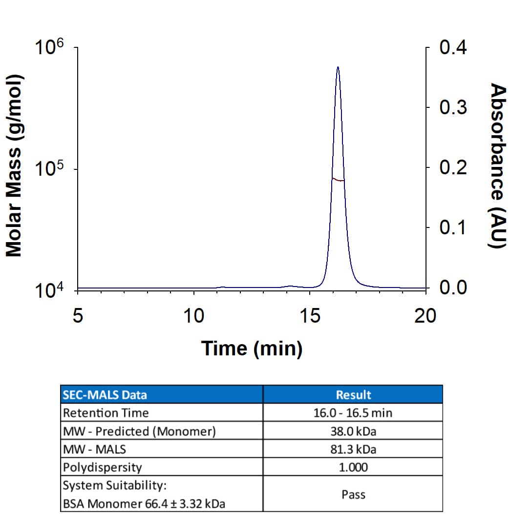 SEC-MALS CD3 epsilon [Unconjugated]