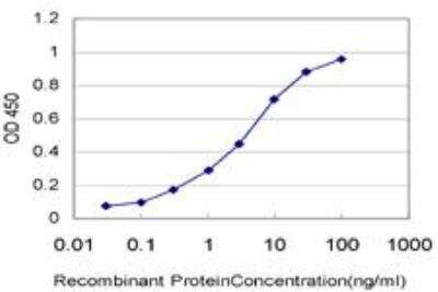 ELISA: A-RAF Antibody (4H7) [H00000369-M03] - Detection limit for recombinant GST tagged ARAF is approximately 0.1ng/ml as a capture antibody.