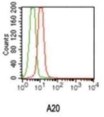 Flow Cytometry: A20/TNFAIP3 Antibody (59A426) - Azide Free [NBP2-33252] - Intracellular flow cytometric analysis of A20 in ThP-1 cells using A20 antibody (red) and isotype control (green) at 0.5 ug/ml Image from the standard format of this antibody.