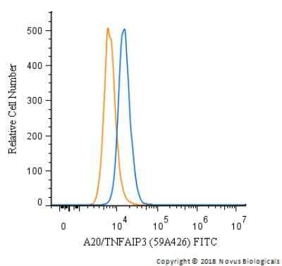 Flow Cytometry: A20/TNFAIP3 Antibody (59A426) [FITC] [NBP1-77533F] - An intracellular stain was performed on HeLa cells with A20/TNFAIP3 (59A426) antibody NBP1-77533F (blue) and a matched isotype control (orange). Cells were fixed with 4% PFA and then permeabilized with 0.1% saponin. Cells were incubated in an antibody dilution of 10 ug/mL for 30 minutes at room temperature. Both antibodies were conjugated to FITC.