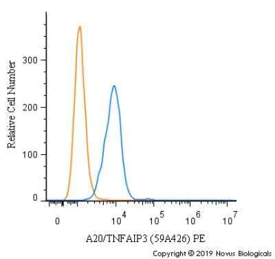 Flow Cytometry: A20/TNFAIP3 Antibody (59A426) [PE] [NBP1-77533PE] - An intracellular stain was performed on RH-30 cells with A20/TNFAIP3 Antibody (59A426) NBP1-77533PE (blue) and a matched isotype control (orange). Cells were fixed with 4% PFA and then permeablized with 0.1% saponin. Cells were incubated in an antibody dilution of 2.5 ug/mL for 30 minutes at room temperature. Both antibodies were conjugated to Phycoerythrin.