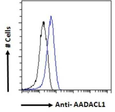 Flow Cytometry AADACL1 Antibody