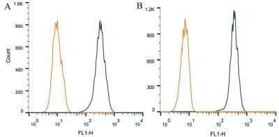 Flow Cytometry: ABCA1 Antibody (HJ1) - Azide and BSA Free [NBP2-80554] - Staining of 1 x 10^6 CHO (A) and HEK-293 (B) cells using ABCA1 antibody (dark blue). Isotype control shown in orange. An antibody concentration of 1 ug/1x10^6 cells was used. Image from the standard format of this antibody.