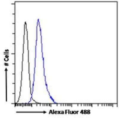 Flow Cytometry: ABCA9 Antibody [NB100-93469] - Flow cytometric analysis of paraformaldehyde fixed HEK293 cells (blue line), permeabilized with 0.5% Triton. Primary incubation 1hr (10ug/ml) followed by Alexa Fluor 488 secondary antibody (1ug/ml). IgG control: Unimmunized goat IgG (black line) followed by Alexa Fluor 488 secondary antibody.