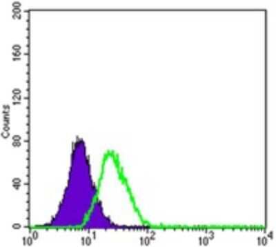 Flow Cytometry: ABCB5 Antibody (5H3C6) [NBP2-22213] - Analysis of HepG2 cells using ABCB5 mouse mAb (green) and negative control (purple).