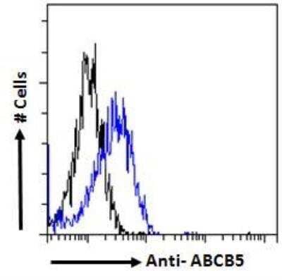 Flow Cytometry: ABCB5 Antibody [NB100-93365] - analysis of paraformaldehyde fixed HepG2 cells (blue line), permeabilized with 0.5% Triton. Primary incubation 1hr (10ug/ml) followed by Alexa Fluor 488 secondary antibody (1ug/ml). IgG control: Unimmunized goat IgG (black line) followed by Alexa Fluor 488 secondary antibody.