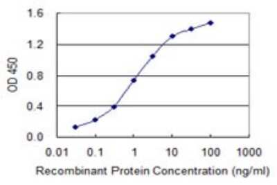 Sandwich ELISA: ABLIM1 Antibody (3A1) [H00003983-M01J] - Detection limit for recombinant GST tagged ABLIM1 is 0.03 ng/ml as a capture antibody.