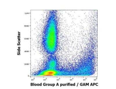 Flow Cytometry: ABO, Blood Group A Antigen Antibody (HE-195) [NBP3-11705] - Surface staining pattern of human peripheral whole blood stained using anti-human Blood Group A (HE-195) purified antibody (concentration in sample 3,3 ug/ml, GAM APC). 