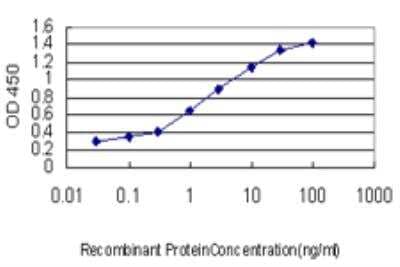 ELISA: ACBD3 Antibody (5F12) [H00064746-M03-100ug] - Detection limit for recombinant GST tagged REV1L is approximately 0.03ng/ml as a capture antibody.