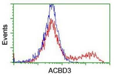 Flow Cytometry: ACBD3 Antibody (OTI3A1) - Azide and BSA Free [NBP2-72149] - HEK293T cells transfected with either overexpression plasmid (Red) or empty vector control plasmid (Blue) were immunostaining by anti-ACBD3 antibody, and then analyzed by flow cytometry.