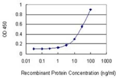 Sandwich ELISA: ACD Antibody (1C11-1A7) [H00065057-M01] - Detection limit for recombinant GST tagged ACD is 1 ng/ml as a capture antibody.