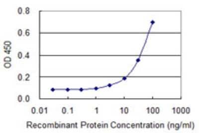 Sandwich ELISA: ACRC Antibody (2E4) [H00093953-M01] - Detection limit for recombinant GST tagged ACRC is 1 ng/ml as a capture antibody.