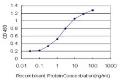 Sandwich ELISA: ADA2 beta Antibody (1C8) [H00093624-M08] - Detection limit for recombinant GST tagged MGC21874 is approximately 0.3ng/ml as a capture antibody.