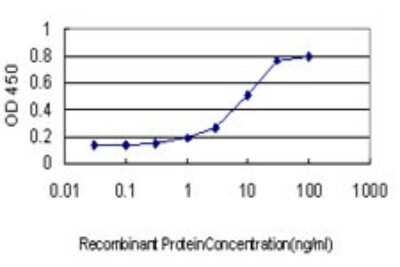 ELISA: ADAM12 Antibody (1G3) [H00008038-M01] - Detection limit for recombinant GST tagged ADAM12 is approximately 0.3ng/ml as a capture antibody.