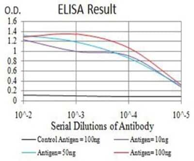 ELISA: ADAMTS1 Antibody (1C12E6) [NBP2-61815] - Black line: Control Antigen (100 ng);Purple line: Antigen (10ng); Blue line: Antigen (50 ng); Red line:Antigen (100 ng)