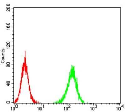 Flow Cytometry: ADAMTS1 Antibody (1C12E6) [NBP2-61815] - Analysis of K562 cells using ADAMTS1 mouse mAb (green) and negative control (red).