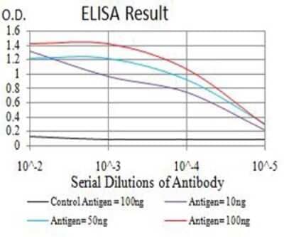 ELISA: ADAMTS1 Antibody (1G5D5) [NBP2-61808] - Black line: Control Antigen (100 ng);Purple line: Antigen (10ng); Blue line: Antigen (50 ng); Red line:Antigen (100 ng)