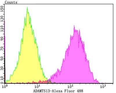 Flow Cytometry: ADAMTS13 Antibody (JG39-21) [NBP2-76975] - Flow cytometric analysis of HepG2 cells with ADAMTS13 antibody at 1/100 dilution (purple) compared with an unlabelled control (cells without incubation with primary antibody; yellow). Alexa Fluor 488-conjugated goat anti-rabbit IgG was used as the secondary antibody.
