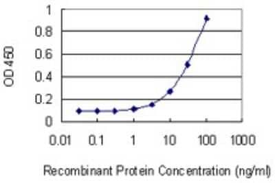 Sandwich ELISA: ADE2 Antibody (4F4) [H00010606-M01] - Detection limit for recombinant GST tagged PAICS is 1 ng/ml as a capture antibody.