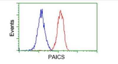 Flow Cytometry: ADE2 Antibody (OTI1B4) - Azide and BSA Free [NBP2-71610] - Analysis of Jurkat cells, using anti-PAICS antibody  (Red), compared to a nonspecific negative control antibody (Blue).