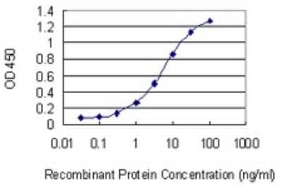 Sandwich ELISA: ADSSL1 Antibody (2D12) [H00122622-M01] - Detection limit for recombinant GST tagged ADSSL1 is 0.1 ng/ml as a capture antibody.