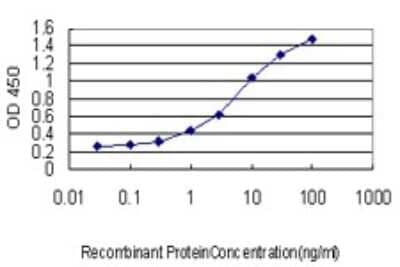 ELISA: AE Binding Protein 1/ACLP Antibody (1D2) [H00000165-M01] - Detection limit for recombinant GST tagged AEBP1 is approximately 0.3ng/ml as a capture antibody.