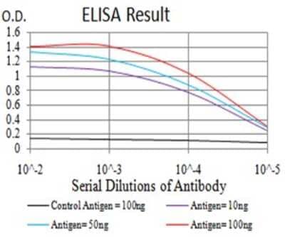 ELISA: AFAP1L2 Antibody (2H6D1) [NBP2-61836] - Black line: Control Antigen (100 ng);Purple line: Antigen (10ng); Blue line: Antigen (50 ng); Red line:Antigen (100 ng)