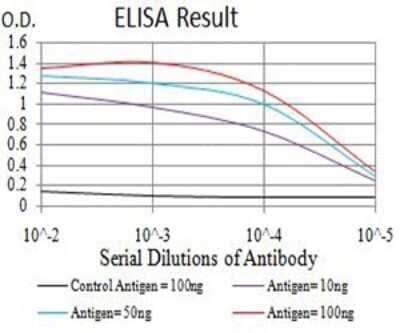 ELISA: AFAP1L2 Antibody (4E12D7) [NBP2-61837] - Black line: Control Antigen (100 ng);Purple line: Antigen (10ng); Blue line: Antigen (50 ng); Red line:Antigen (100 ng)