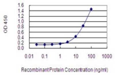 Sandwich ELISA: AFF2 Antibody (4D11) [H00002334-M08] - Detection limit for recombinant GST tagged AFF2 is 0.3 ng/ml as a capture antibody.