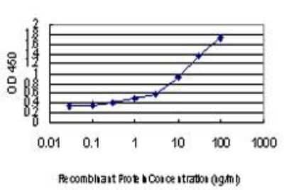 ELISA: AG-2 Antibody (1C3) [H00010551-M03] - Detection limit for recombinant GST tagged AGR2 is approximately 0.03ng/ml as a capture antibody.