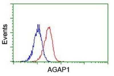 Flow Cytometry: AGAP1 Antibody (OTI4E8) - Azide and BSA Free [NBP2-72357] - Analysis of Jurkat cells, using anti-AGAP1 antibody, (Red), compared to a nonspecific negative control antibody (Blue).