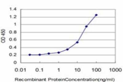ELISA: AGER Antibody (1C1) [H00000177-M02] - Detection limit for recombinant GST tagged AGER is approximately 0.3ng/ml as a capture antibody.