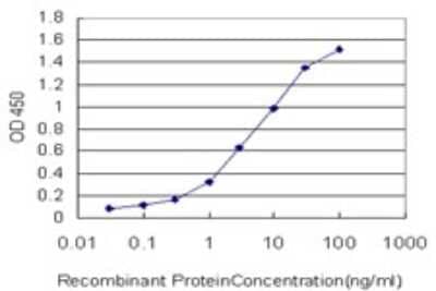 Sandwich ELISA: AGTRAP Antibody (1G2) [H00057085-M02] - Detection limit for recombinant GST tagged AGTRAP is approximately 0.1ng/ml as a capture antibody.