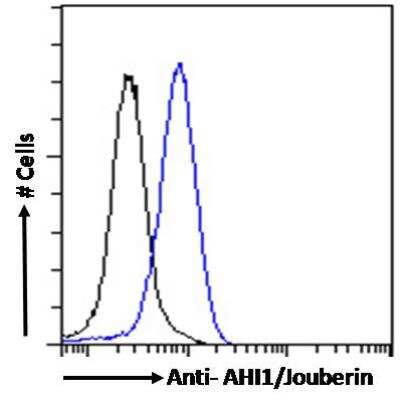 Flow Cytometry: AHI1 Antibody [NBP2-76427] - Analysis of paraformaldehyde fixed HeLa cells (blue line), permeabilized with 0.5% Triton. Primary incubation overnight (10 ug/mL) followed by Alexa Fluor 488 secondary antibody (1 ug/mL). IgG control: Unimmunized goat IgG (black line) followed by Alexa Fluor 488 secondary antibody.