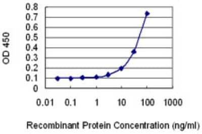 Sandwich ELISA: AHNAK2 Antibody (4G9) [H00113146-M03] - Detection limit for recombinant GST tagged AHNAK2 is 1 ng/ml as a capture antibody.