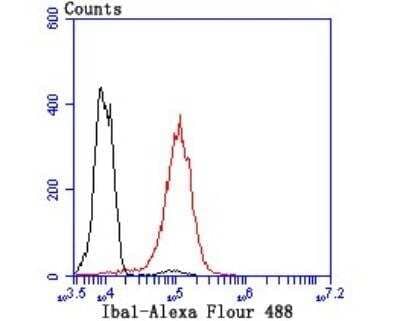 Flow Cytometry: AIF-1/Iba1 Antibody (JM36-62) [NBP2-75397] - Analysis of THP-1 cells withAIF-1:Iba1 Antibody (JM36-62) at 1:100 dilution (red) compared with an unlabelled control (cells without incubation with primary antibody; black).