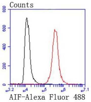 Flow Cytometry: AIF Antibody (SZ05-01) [NBP2-67366] - Analysis of Hela cells with AIF antibody at 1/50 dilution (red) compared with an unlabelled control (cells without incubation with primary antibody; black). Alexa Fluor 488-conjugated goat anti rabbit IgG was used as the secondary antibody.