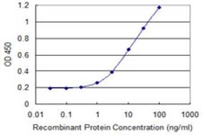 Sandwich ELISA: AIPL1 Antibody (3A3) [H00023746-M23] - Detection limit for recombinant GST tagged AIPL1 is 0.3 ng/ml as a capture antibody.