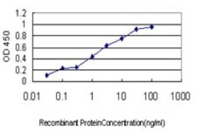 Sandwich ELISA: AK3 Antibody (1D2) [H00050808-M01] - Detection limit for recombinant GST tagged AK3 is approximately 0.03ng/ml as a capture antibody.