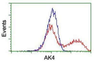 Flow Cytometry: AK3L1 Antibody (OTI3B1) - Azide and BSA Free [NBP2-70129] - HEK293T cells transfected with either overexpression plasmid (Red) or empty vector control plasmid (Blue) were immunostaining by anti-AK3L1 antibody, and then analyzed by flow cytometry.