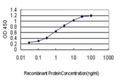 Sandwich ELISA: AKAP10 Antibody (8C10) [H00011216-M04] - Detection limit for recombinant GST tagged AKAP10 is approximately 0.03ng/ml as a capture antibody.