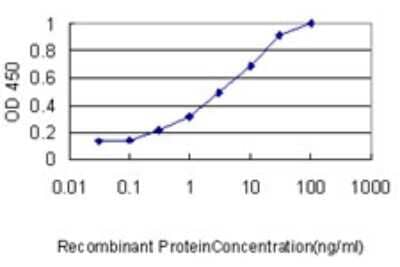 Sandwich ELISA: AKAP12 Antibody (1C5) [H00009590-M01] - Detection limit for recombinant GST tagged AKAP12 is approximately 0.03ng/ml as a capture antibody.